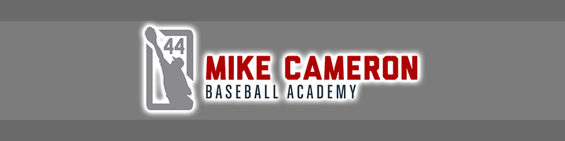 Facilities Mike Cameron Baseball Academy Stockbridge Ga